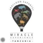 Miracle Experience