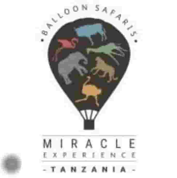 Miracle Experience- Fod and Beverage