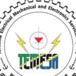 Tanzania Electrical, Mechanical and Electronics Services Agency (TEMESA)