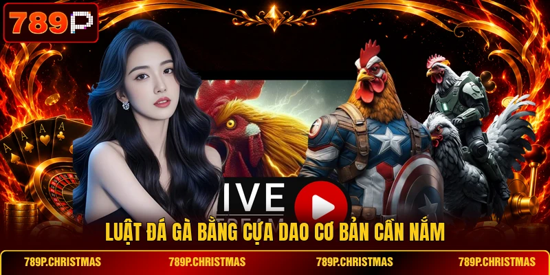 Luật đá gà bằng cựa dao cơ bản cần nắm